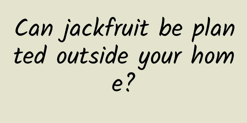 Can jackfruit be planted outside your home?