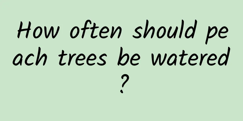 How often should peach trees be watered?