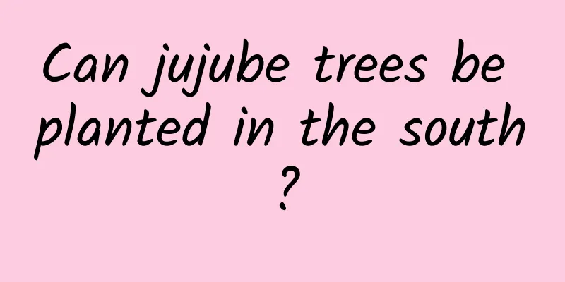 Can jujube trees be planted in the south?