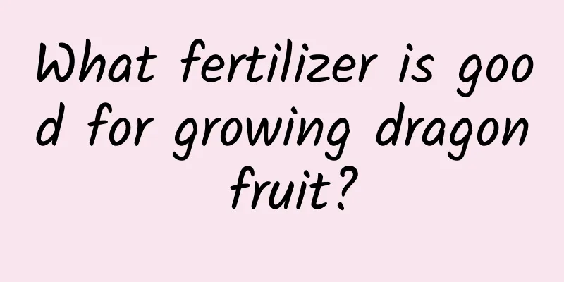 What fertilizer is good for growing dragon fruit?