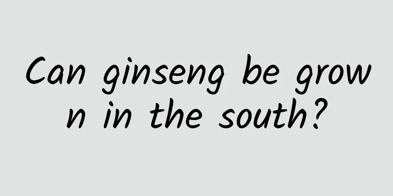 Can ginseng be grown in the south?