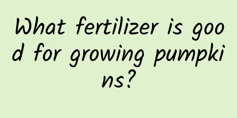 What fertilizer is good for growing pumpkins?