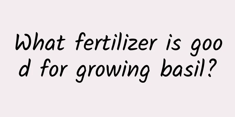 What fertilizer is good for growing basil?