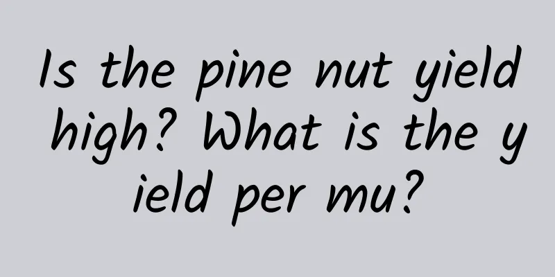 Is the pine nut yield high? What is the yield per mu?
