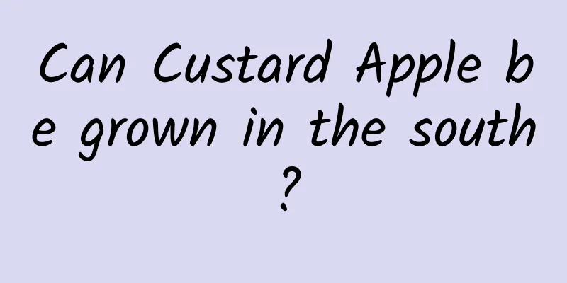 Can Custard Apple be grown in the south?