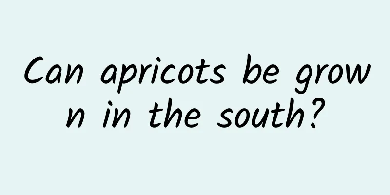 Can apricots be grown in the south?