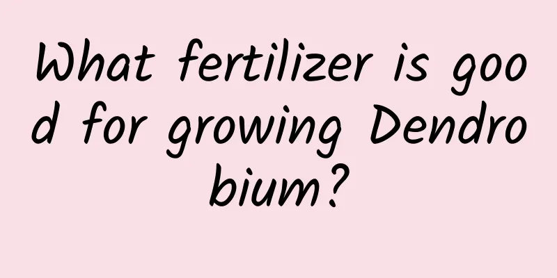 What fertilizer is good for growing Dendrobium?