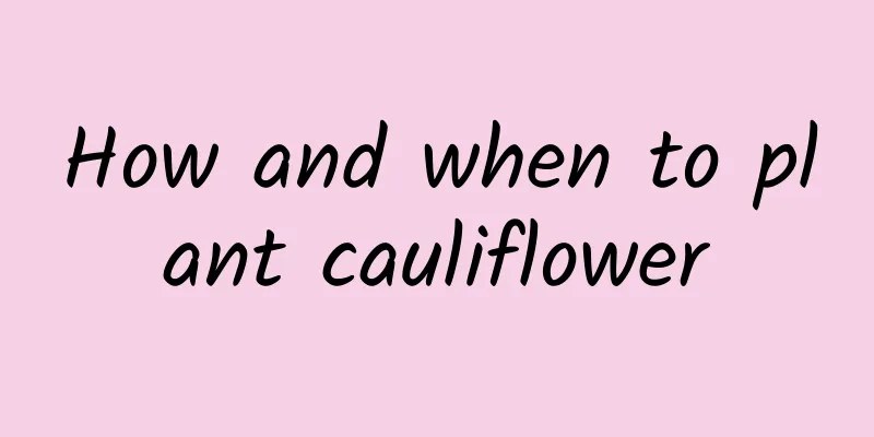 How and when to plant cauliflower
