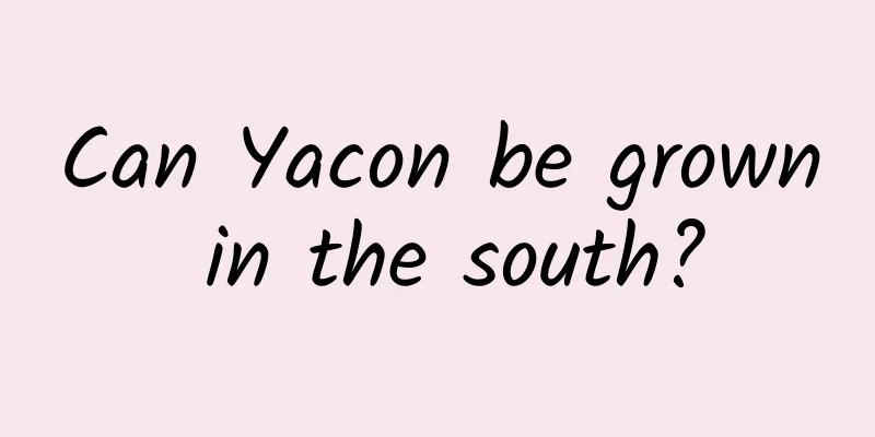 Can Yacon be grown in the south?