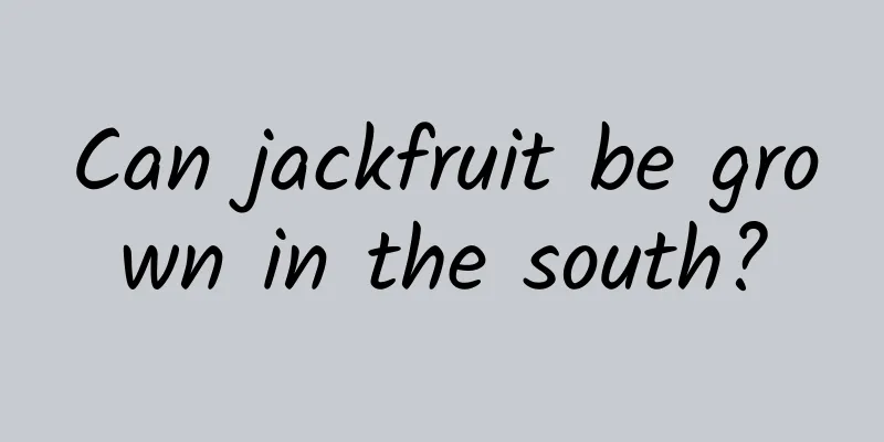 Can jackfruit be grown in the south?