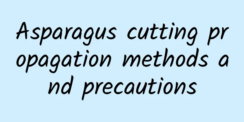 Asparagus cutting propagation methods and precautions