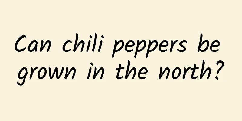 Can chili peppers be grown in the north?