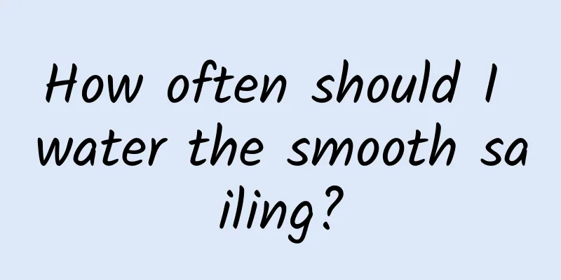 How often should I water the smooth sailing?