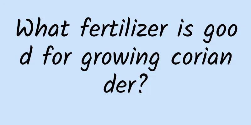 What fertilizer is good for growing coriander?