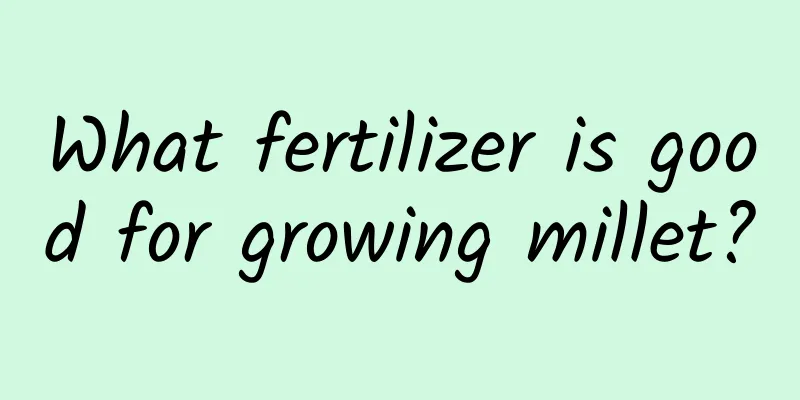 What fertilizer is good for growing millet?