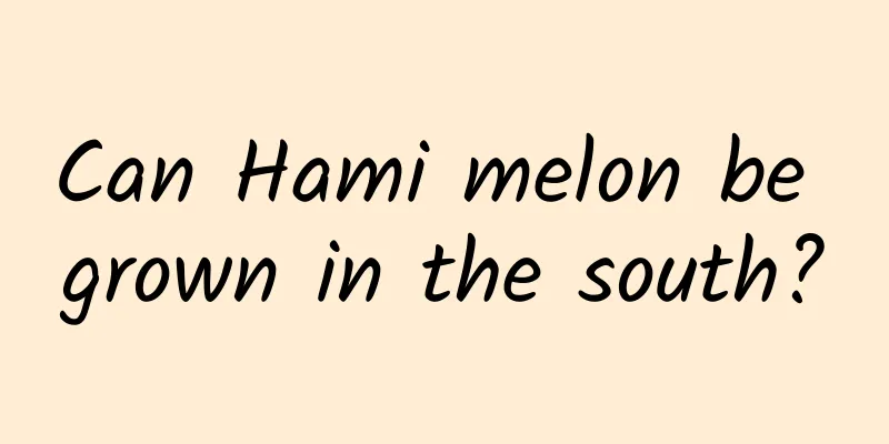 Can Hami melon be grown in the south?