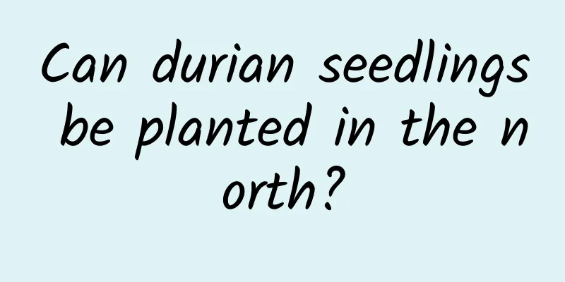Can durian seedlings be planted in the north?