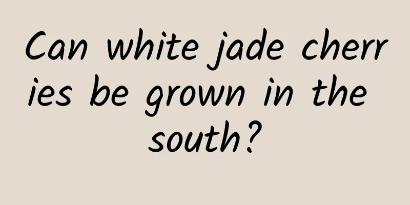 Can white jade cherries be grown in the south?