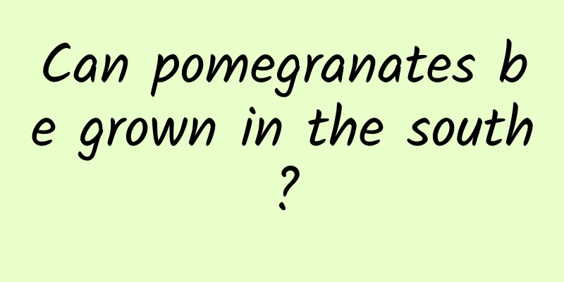 Can pomegranates be grown in the south?