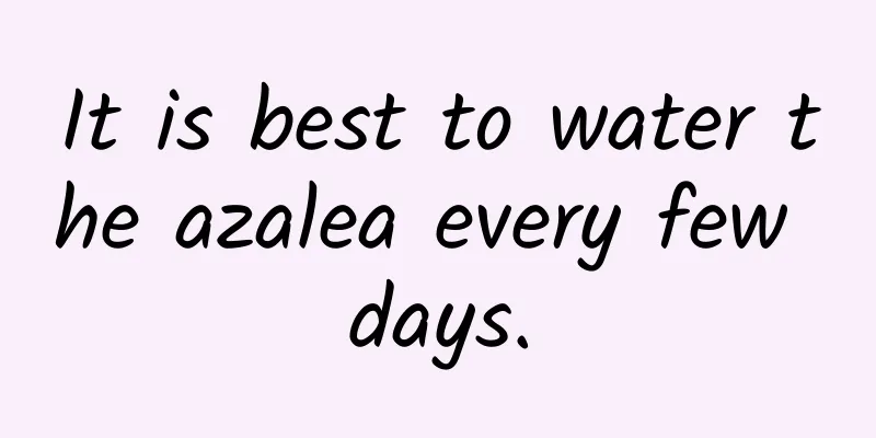 It is best to water the azalea every few days.
