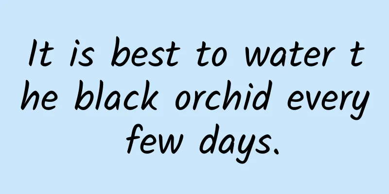 It is best to water the black orchid every few days.