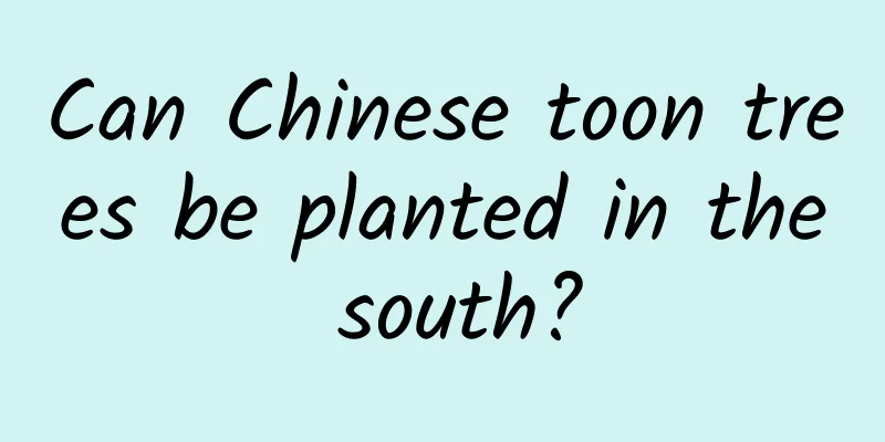 Can Chinese toon trees be planted in the south?