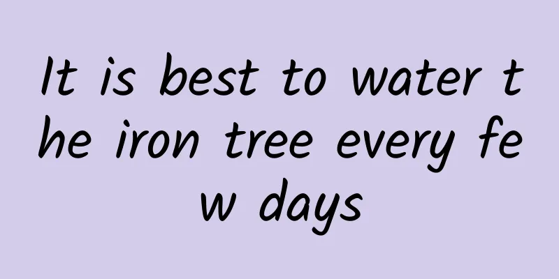 It is best to water the iron tree every few days
