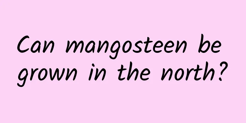 Can mangosteen be grown in the north?