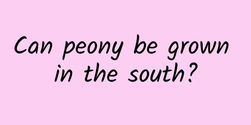 Can peony be grown in the south?