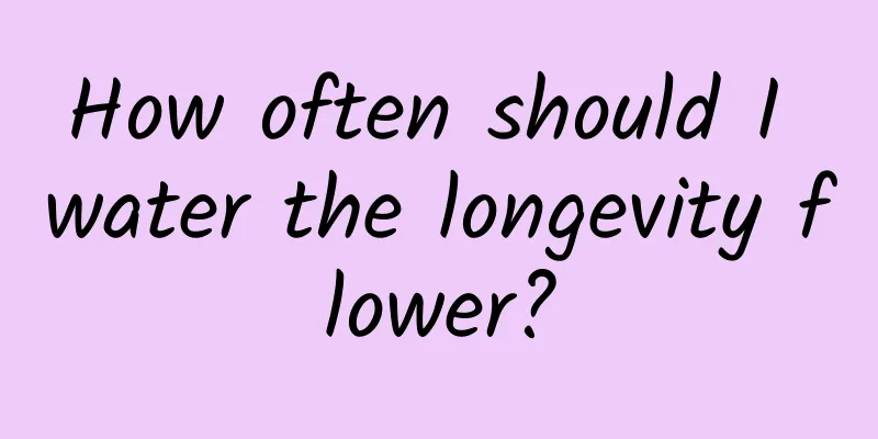 How often should I water the longevity flower?