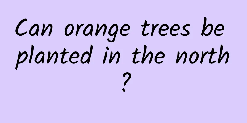 Can orange trees be planted in the north?