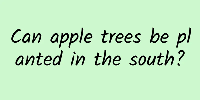 Can apple trees be planted in the south?