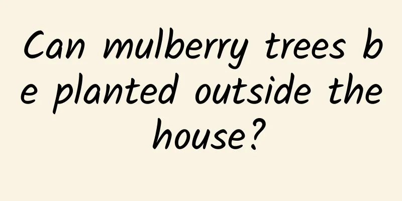 Can mulberry trees be planted outside the house?