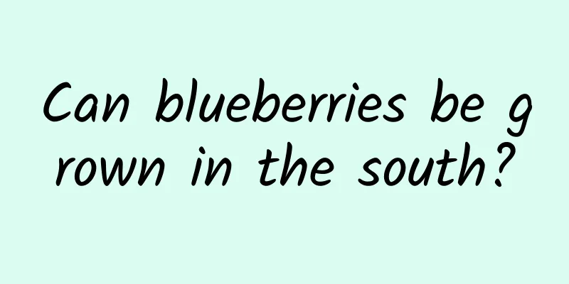 Can blueberries be grown in the south?