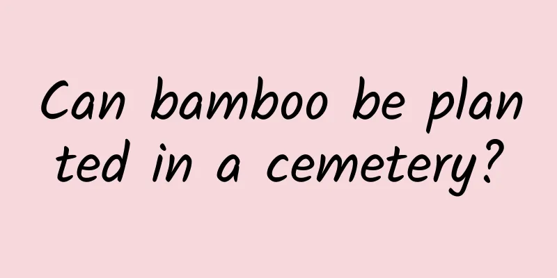 Can bamboo be planted in a cemetery?