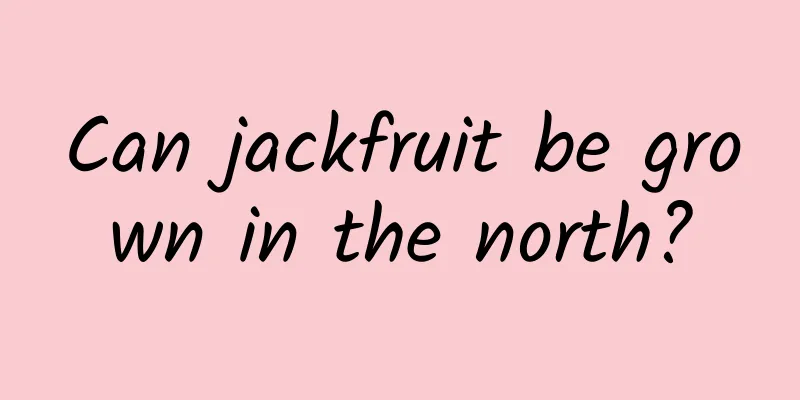 Can jackfruit be grown in the north?