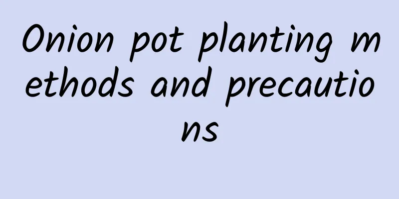 Onion pot planting methods and precautions