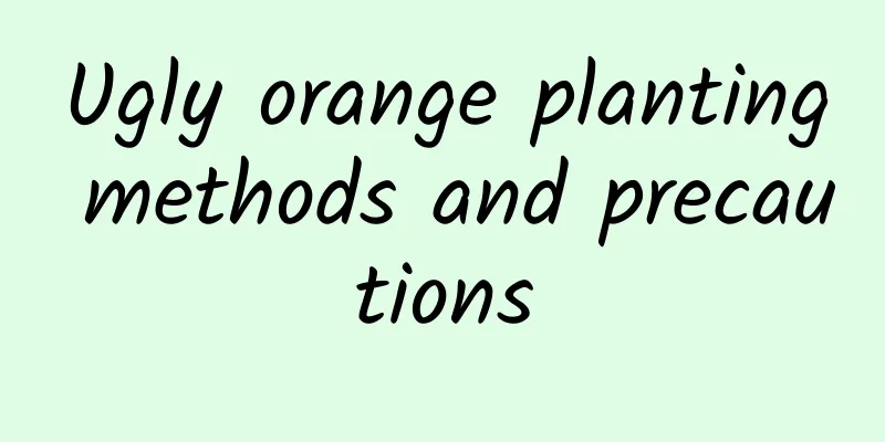 Ugly orange planting methods and precautions