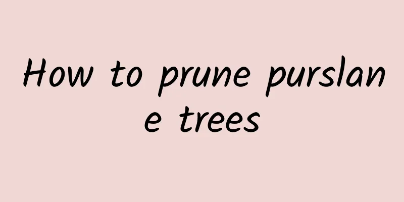 How to prune purslane trees