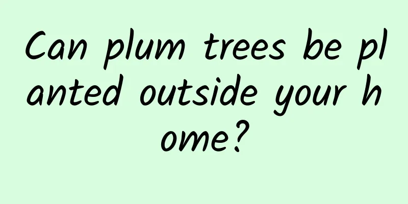 Can plum trees be planted outside your home?