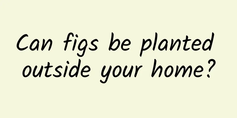 Can figs be planted outside your home?