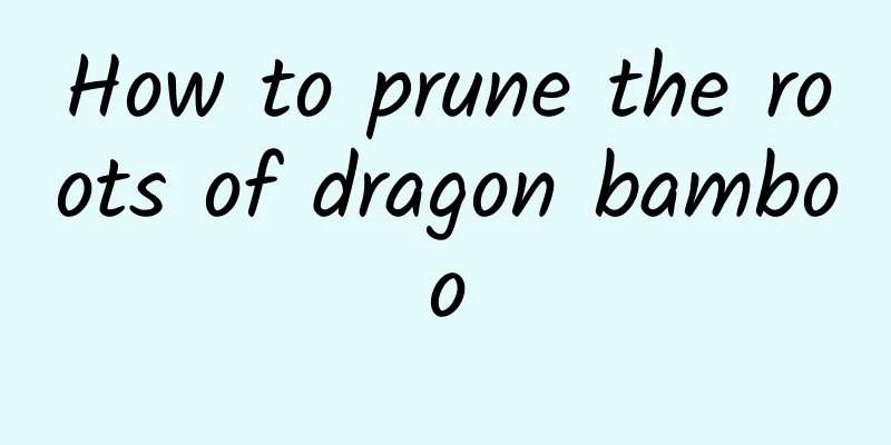 How to prune the roots of dragon bamboo