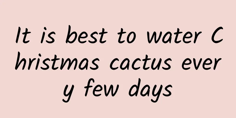 It is best to water Christmas cactus every few days