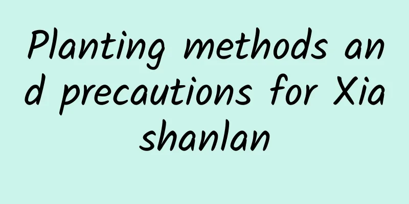 Planting methods and precautions for Xiashanlan