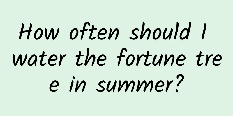How often should I water the fortune tree in summer?