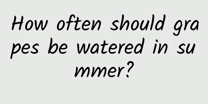 How often should grapes be watered in summer?