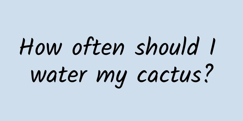 How often should I water my cactus?
