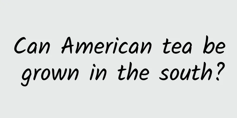 Can American tea be grown in the south?