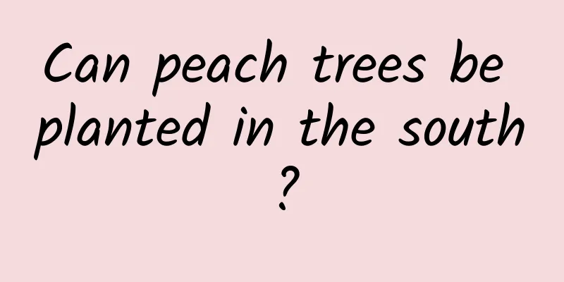 Can peach trees be planted in the south?