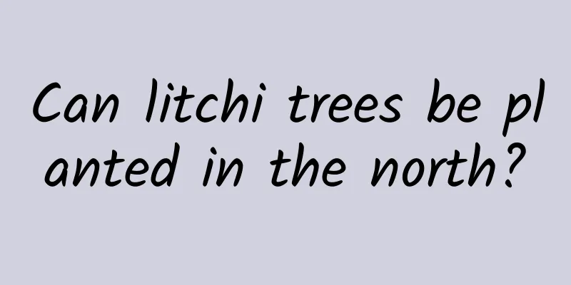 Can litchi trees be planted in the north?